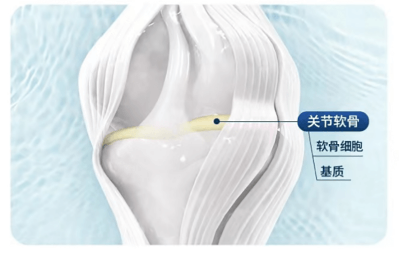 致敬！马拉松跑者的“最强运动装备”